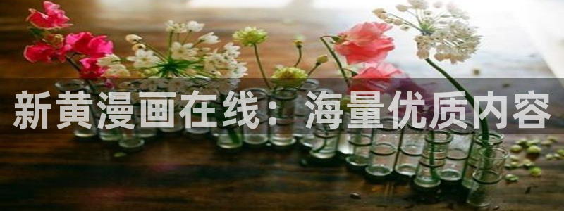羞羞漫画在线首页：新黄漫画在线：海量优质内容