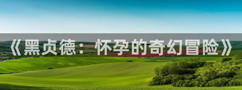 韩国漫画羞羞漫画无删减：《黑贞德：怀孕的奇幻冒险》