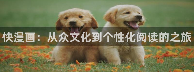 羞羞漫画成人3d：快漫画：从众文化到个性化阅读的之旅