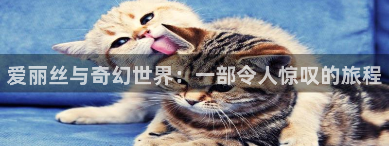 纲手漫画羞羞漫画免费：爱丽丝与奇幻世界：一部令人惊叹的旅程