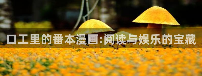 韩国羞羞漫画3d：口工里的番本漫画:阅读与娱乐的宝藏