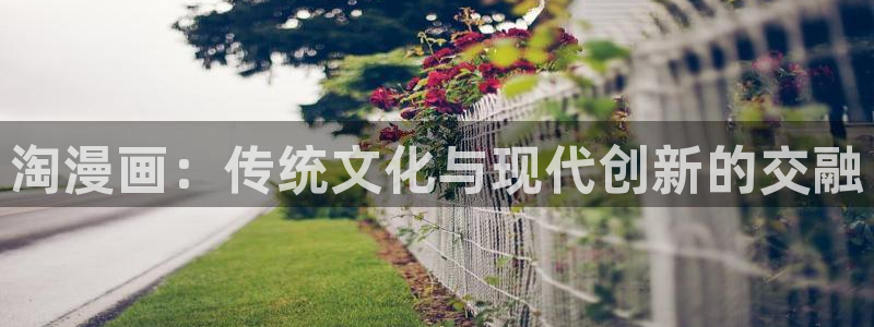 十八岁禁羞羞漫画：淘漫画：传统文化与现代创新的交融