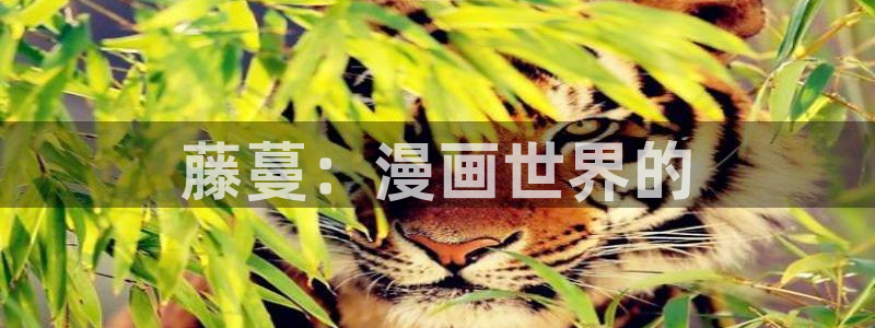羞羞漫画免费看大全：藤蔓：漫画世界的