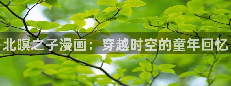 羞羞漫画大全在线观看大全：北暝之子漫画：穿越时空的童年回忆