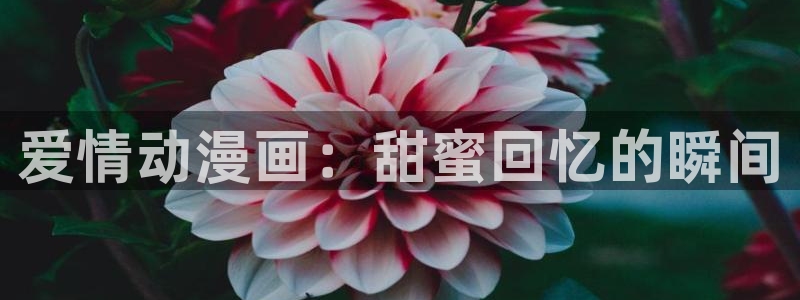 羞羞漫画免费全集观看：爱情动漫画：甜蜜回忆的瞬间