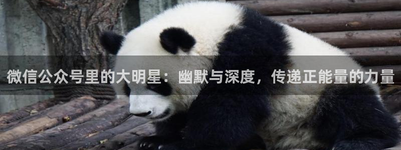 羞羞漫画首页在线看：微信公众号里的大明星：幽默与深度，传递正能量的力量