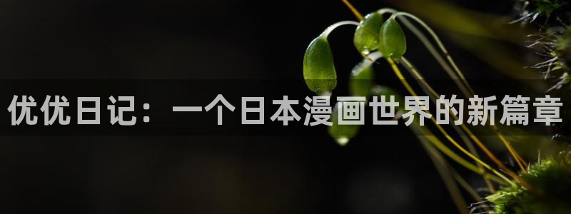 羞羞漫画免费观看完整版的