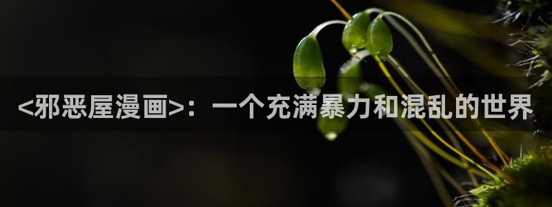 羞羞漫画专：<邪恶屋漫画>：一个充满暴力和混乱的世界