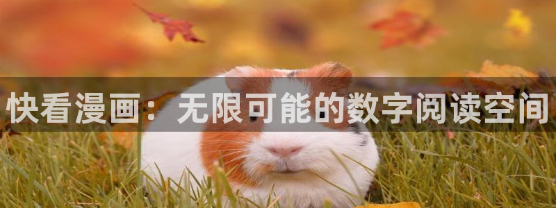 床上羞羞漫画