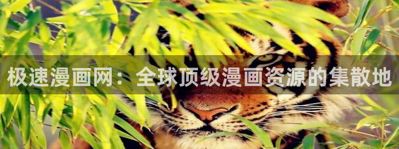 羞羞漫画sss入口汉化黄：极速漫画网：全球顶级漫画资源的集散地