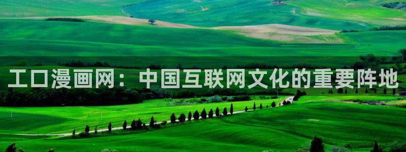 火影羞羞漫画：工口漫画网：中国互联网文化的重要阵地