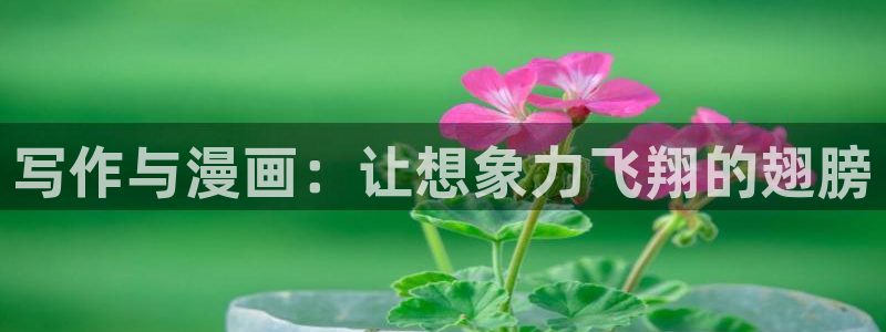 羞羞漫画无限金币：写作与漫画：让想象力飞翔的翅膀
