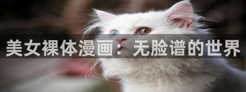 **羞羞漫画网站入口