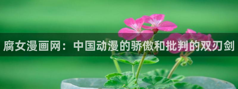3d羞羞漫画入口：腐女漫画网：中国动漫的骄傲和批判的双刃剑
