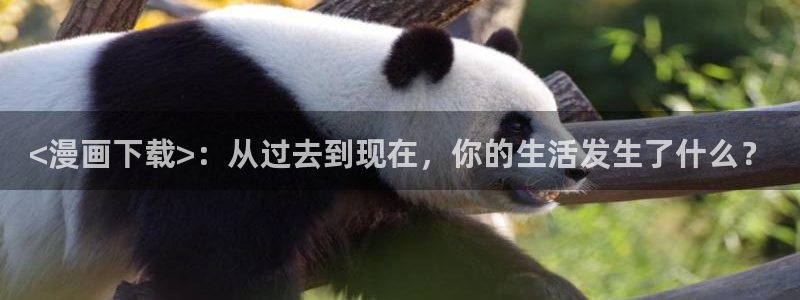 羞羞漫画在线观看免费入口：<漫画下载>：从过去到现在，你的生活发生了什么？