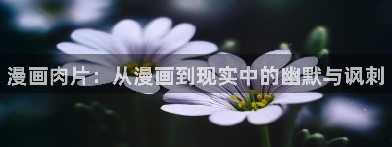 在线下载羞羞漫画：漫画肉片：从漫画到现实中的幽默与讽刺
