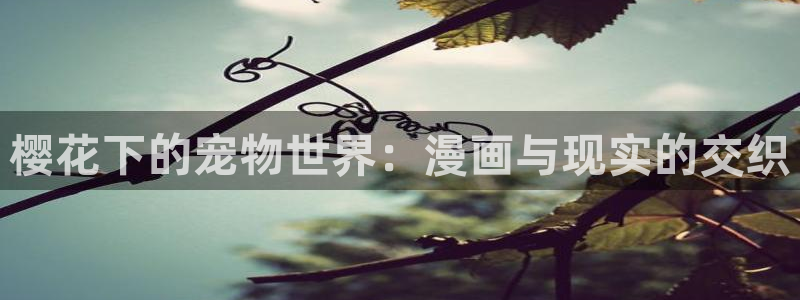 羞羞漫画观看视频