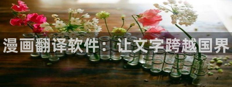 羞羞漫画无弹窗免费：漫画翻译软件：让文字跨越国界
