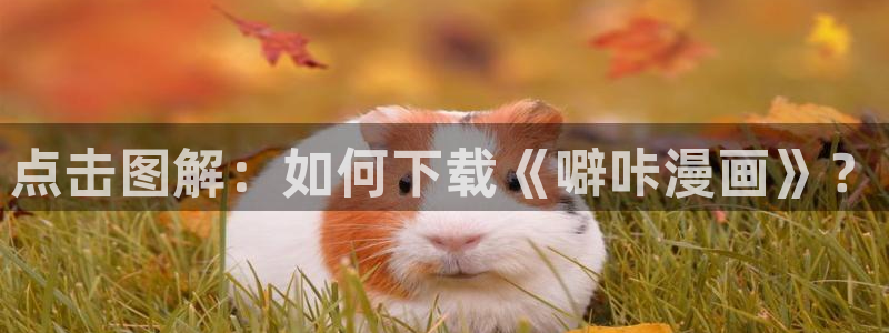 羞羞漫画无限免费看：点击图解：如何下载《噼咔漫画》？