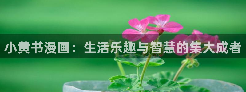 羞羞漫画窗口：小黄书漫画：生活乐趣与智慧的集大成者