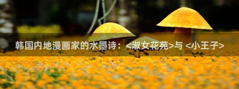 动漫美女被吸乳羞羞漫画网站：韩国内地漫画家的水墨诗：<淑女花苑>与 <小王子>